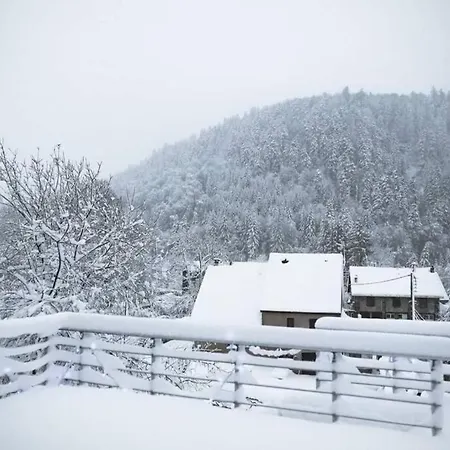 Loulou, Massif Central, * Mont-Dore