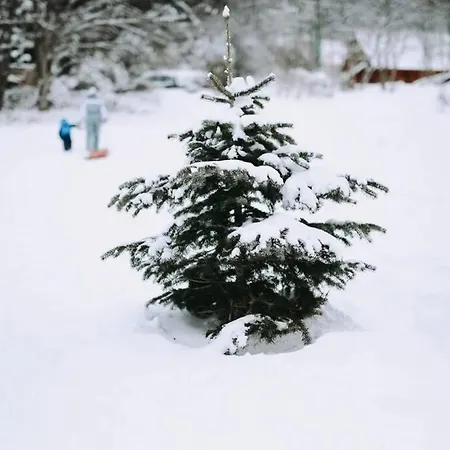 Alpesi faház Loulou, Massif Central, Le Mont-Dore