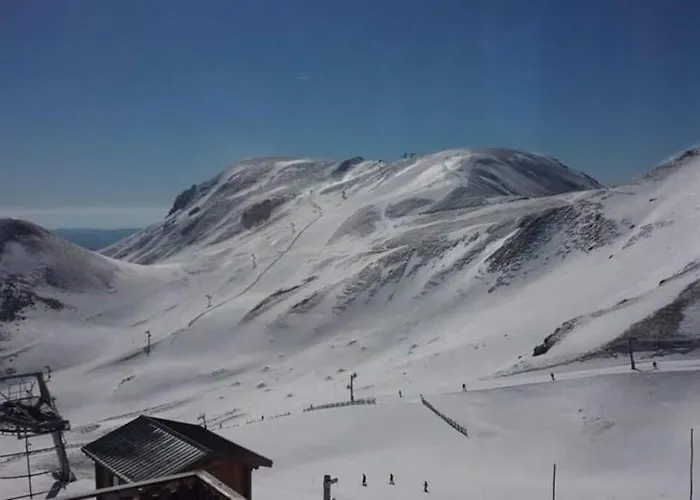 Шале Loulou, Massif Central, Ле-Мон-Дор