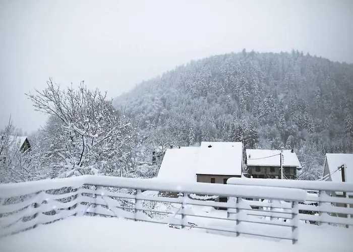 Loulou, Massif Central, * Ле-Мон-Дор